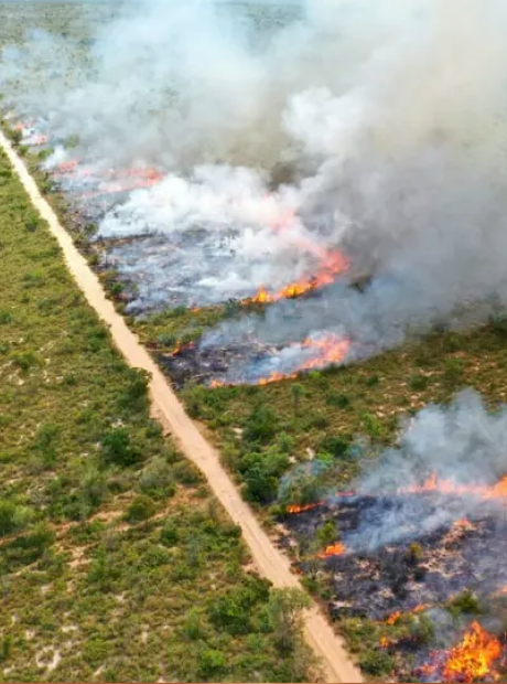 Para evitar inc&ecirc;ndio florestal, MS suspende queima controlada
