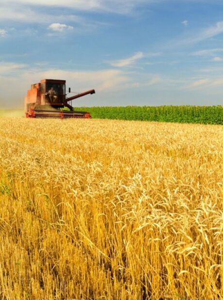 Inadimpl&ecirc;ncia no cr&eacute;dito rural quase dobra e acende alerta em MS