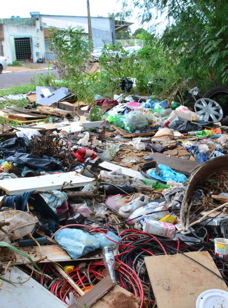 Casos confirmados de dengue caem quase 50% em MS em 2025