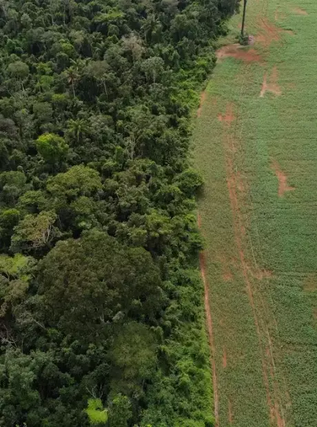 Brasil apresenta solu&ccedil;&otilde;es de financiamento clim&aacute;tico em Nova York