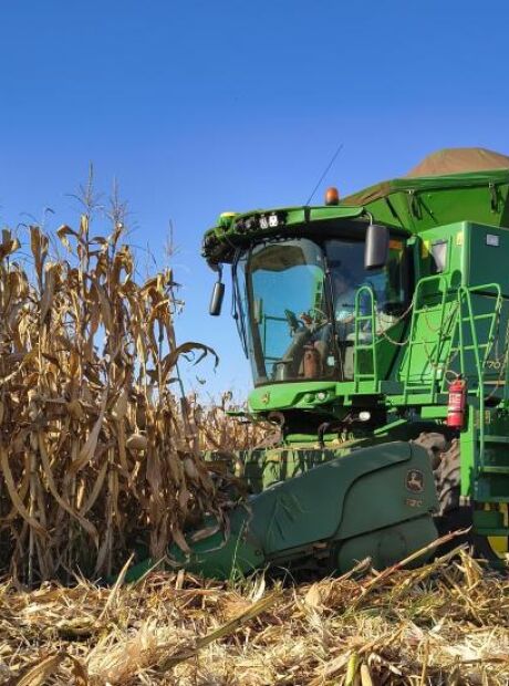 Agroneg&oacute;cio: MS avan&ccedil;a no setor e garante safra recorde de soja e milho em 2025