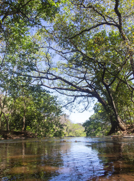 Licita&ccedil;&atilde;o do Parque do C&eacute;uzinho tem des&aacute;gio de 15,6%
