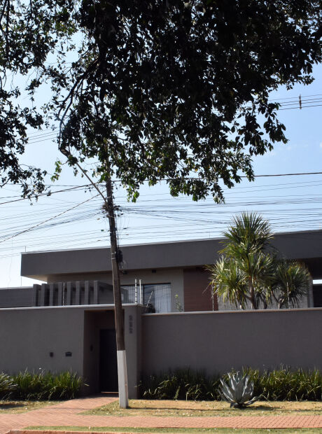 Prefeito preso em MS usava porcos para "lavar" dinheiro sujo