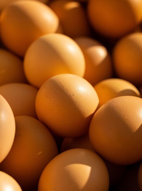 Conhe&ccedil;a dicas para o ovo frito perfeito e uma incr&iacute;vel receita da chef Bru Calderon