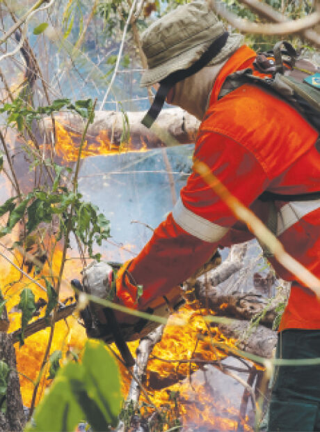 Cortes de Trump nos EUA afetam sistema da Nasa que monitora inc&ecirc;ndios em MS