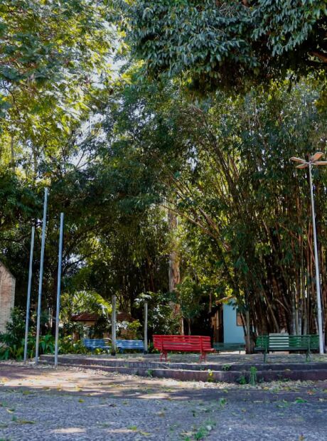 Horto Florestal passar&aacute; por revitaliza&ccedil;&atilde;o com uso de m&atilde;o de obra prisional