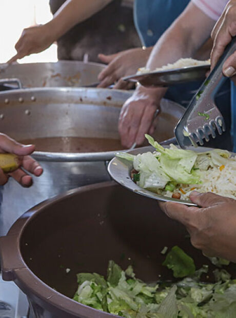 Mais de 36 mil lares saem do radar da fome em MS, diz IBGE