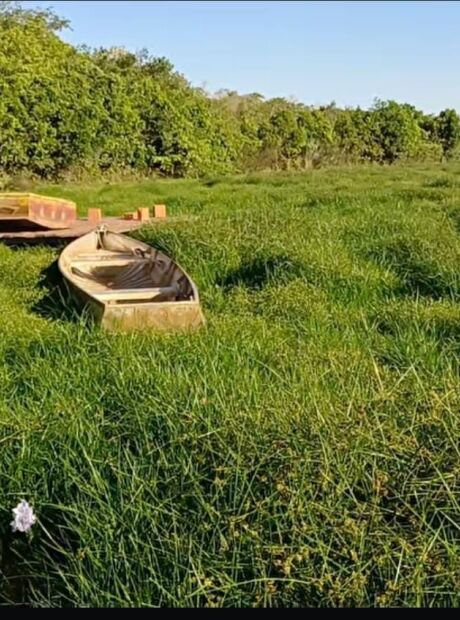 Imasul se cala e vereadora apela a Bras&iacute;lia para salvar lago do Mimoso