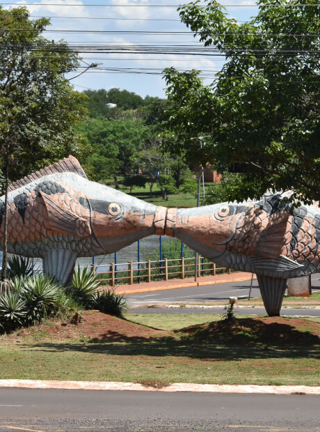 Artista Plástico que tinha o Pantanal como inspiração morre aos 58 anos