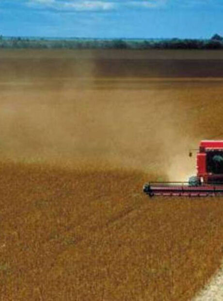 PIB de MS &eacute; o segundo que mais cresce no pa&iacute;s