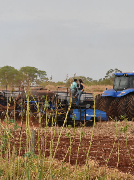 Pre&ccedil;o baixo e incertezas travam comercializa&ccedil;&atilde;o da soja em MS