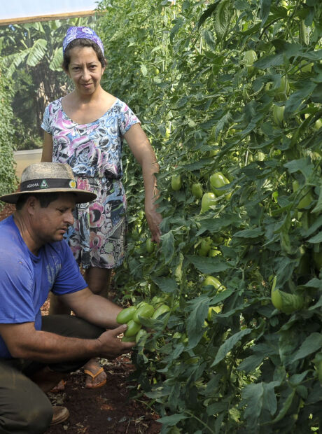 Agropecu&aacute;ria perde for&ccedil;a no mercado de trabalho em MS