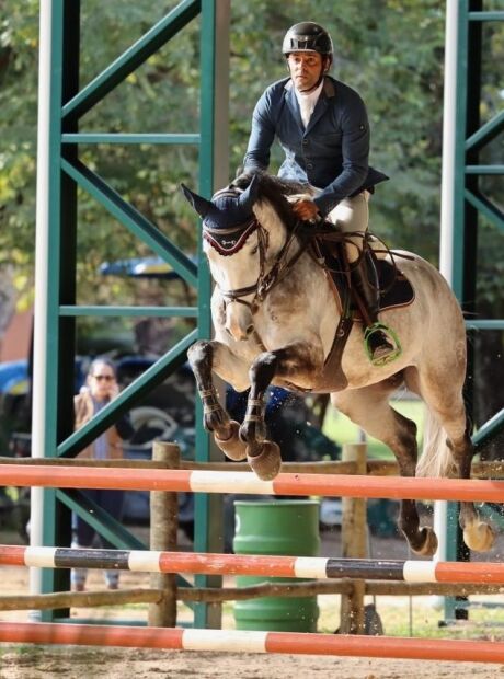 Final do Campeonato de Hipismo re&uacute;ne mais de 300 competidores
