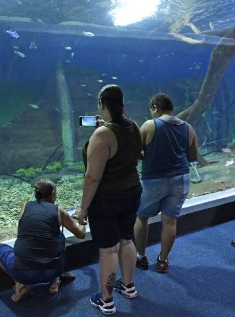 Bioparque &eacute; eleito como um dos atrativos tur&iacute;sticos mais sustent&aacute;veis do mundo