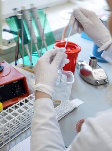 Cientistas descobrem novo coronav&iacute;rus em morcegos brasileiros com tra&ccedil;o similar ao da Covid