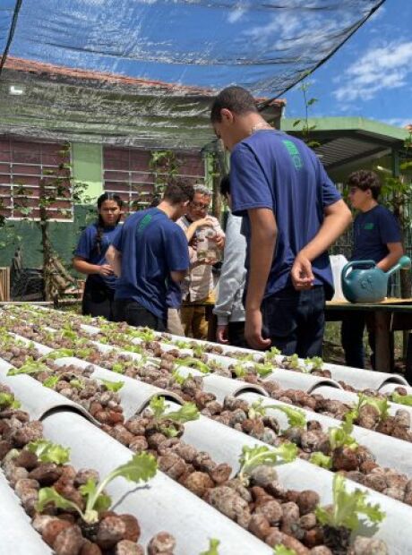Escola de MS usa água de ar-condicionado para produzir alface