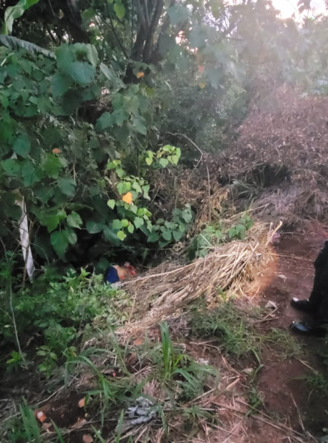 Mulher &eacute; encontrada morta &agrave;s margens de c&oacute;rrego em MS