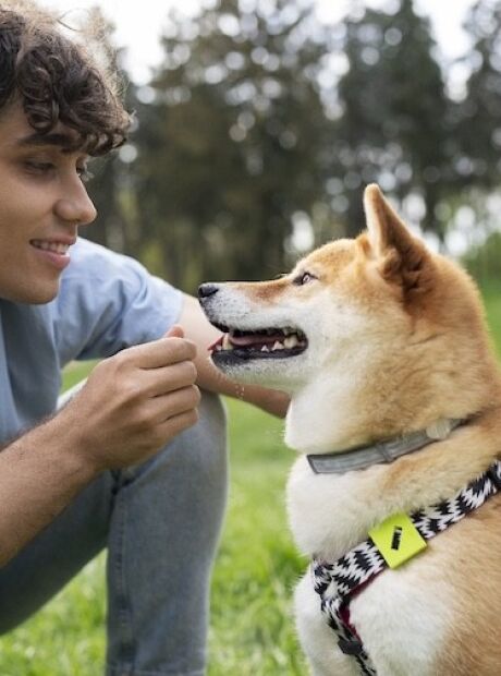 Pet B+: Como a humanização dos pets influencia a escolha do alimento. Confira aqui