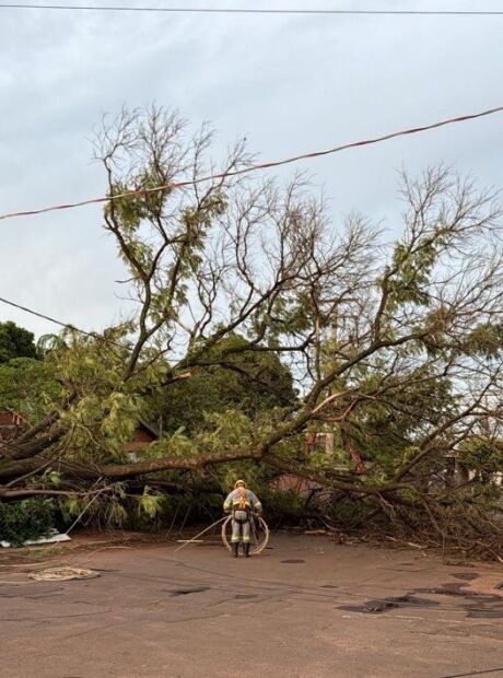 Um dia ap&oacute;s temporal, bairros continuam sem luz em Campo Grande
