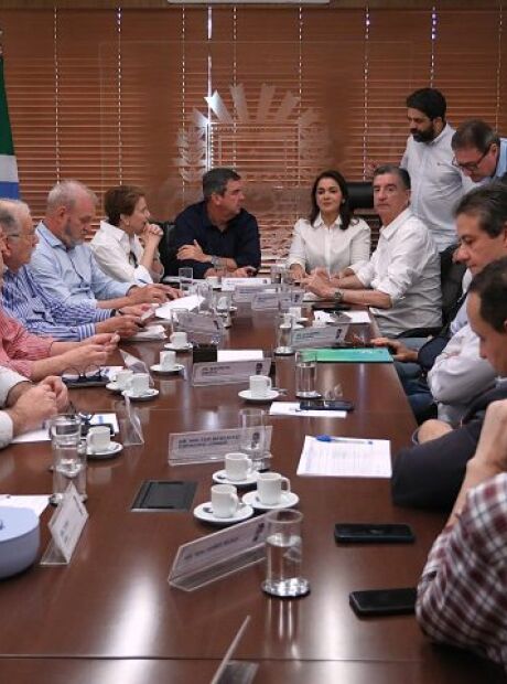 Riedel e Adriane se reúnem com bancada federal para definir prioridades de MS