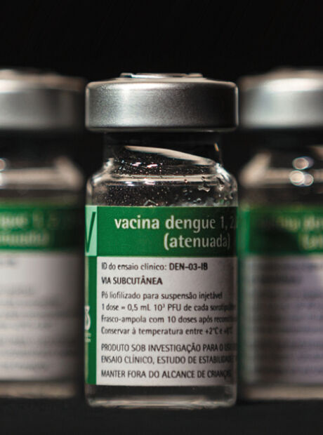 Vacina contra a dengue do Butantan pode beneficiar saúde global