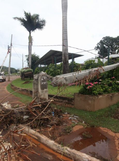 &Aacute;rvore cai e derruba poste ap&oacute;s chuva intensa em Campo Grande