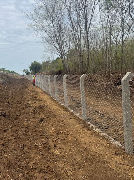 BR-262 recebe cerca condutora em busca de salvar animais de atropelamentos