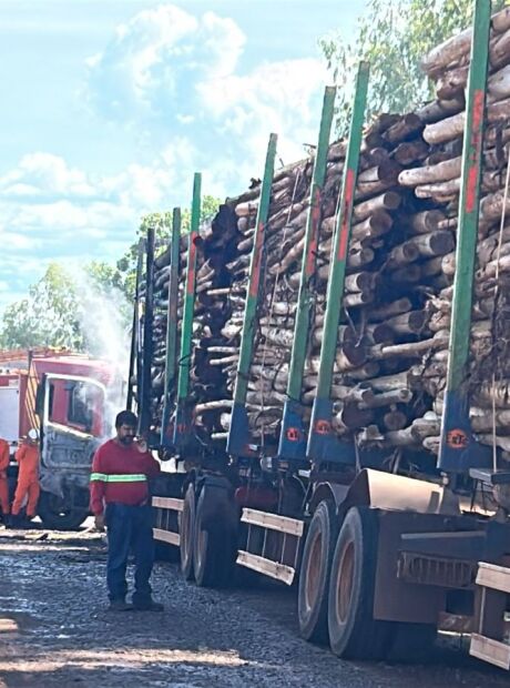 Bitrem carregado com eucalipto pega fogo na BR-262