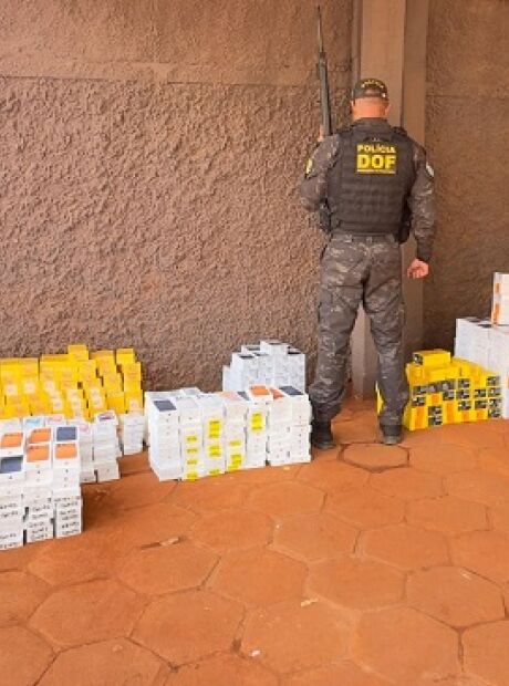 DOF apreende mais de R$ 5 milh&otilde;es de produtos irregulares