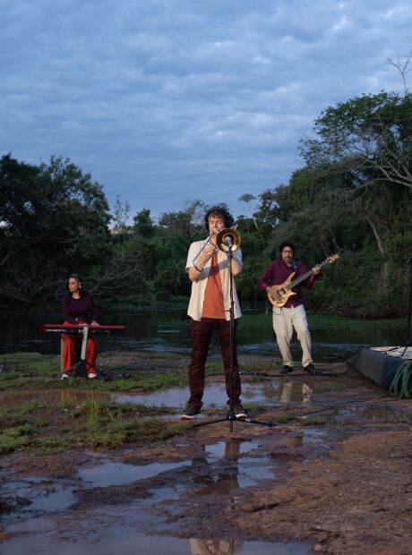 Entre on&ccedil;as e tuiui&uacute;s, o jazz