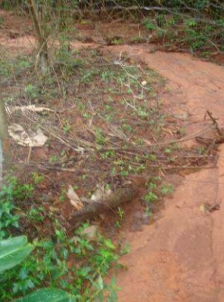 TJ nega recurso e obriga Prefeitura de Campo Grande a recuperar vias em 30 dias