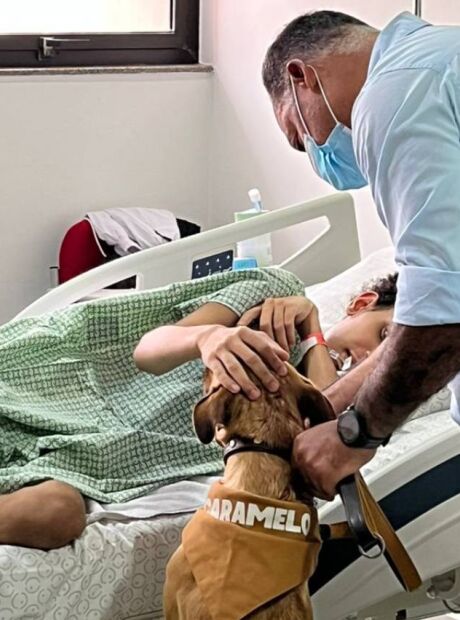 Pet B+: Petlove, Instituto Caramelo e A.C.Camargo transformam c&atilde;es resgatados em terapeutas 