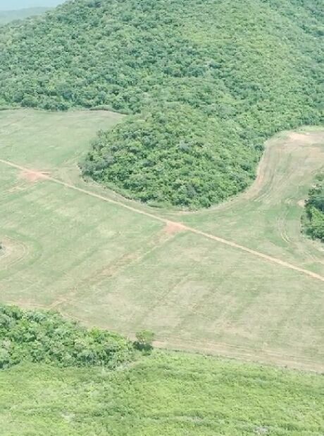 Monitoramento aponta alerta ambiental para rios que atraem 90% dos turistas para Mato Grosso do Sul 