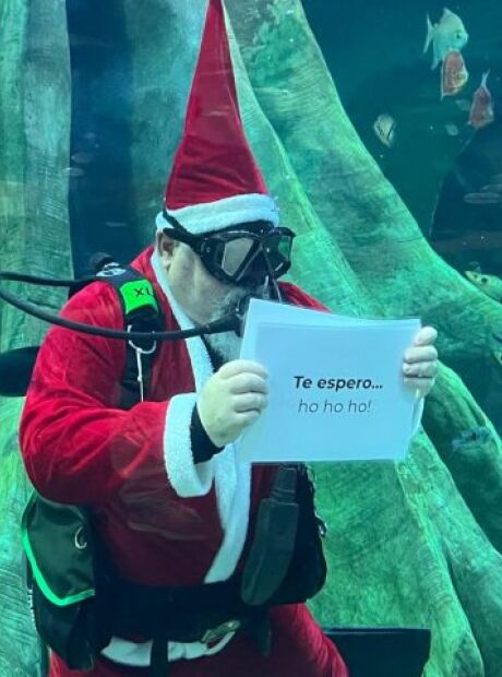 Bioparque Pantanal ter&aacute; Papai Noel mergulhador em programa&ccedil;&atilde;o especial de Natal