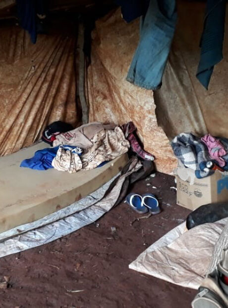 A cada semana, 2 trabalhadores s&atilde;o resgatados do trabalho escravo em MS 