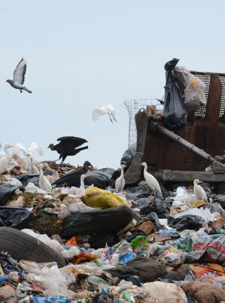 Prefeitura de Campo Grande indenizar&aacute; fam&iacute;lia de crian&ccedil;a morta em lix&atilde;o ap&oacute;s 15 anos