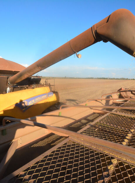 MS deve produzir 29,3 milh&otilde;es de toneladas de gr&atilde;os em 2026