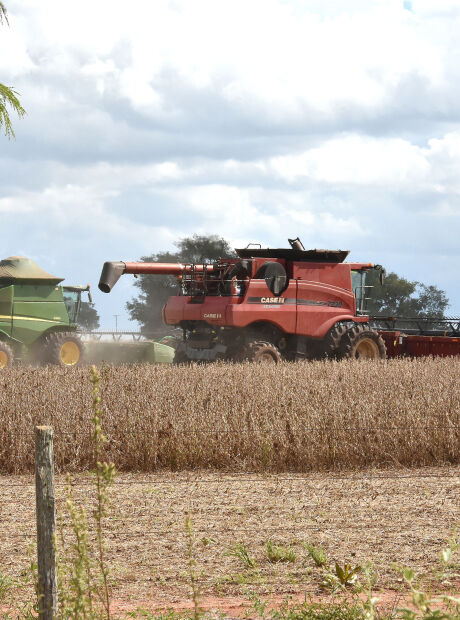 Ap&oacute;s 4 anos em alta, MS deve crescer abaixo da m&eacute;dia nacional neste ano
