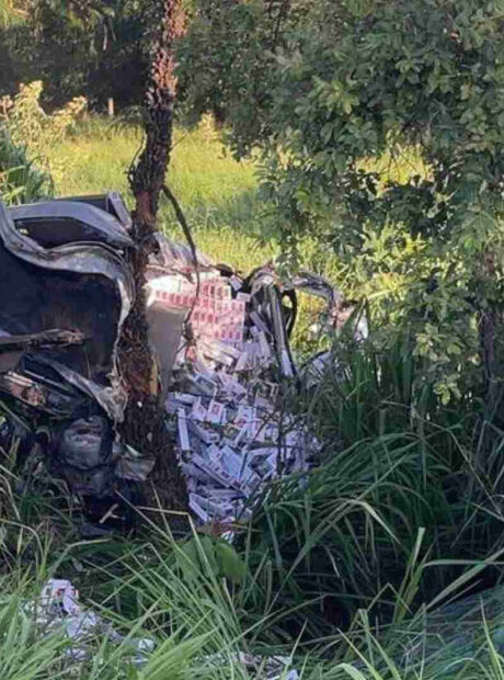 Motorista morre ap&oacute;s atropelar javali e bater carro carregado com cigarros na BR-267
