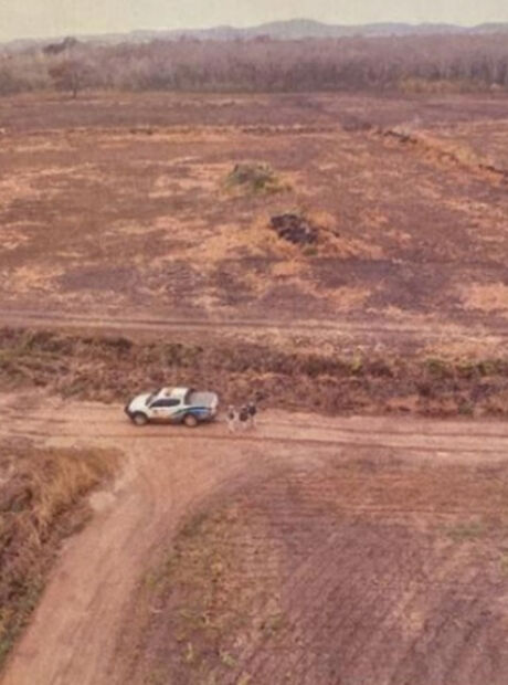 Fazenda em Bonito &eacute; multada em R$ 236 mil e investigada pelo MPMS