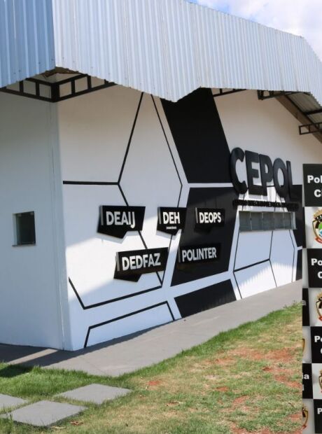 'Garageiro' &eacute; preso ap&oacute;s pelo menos 30 golpes em cerca de dois meses