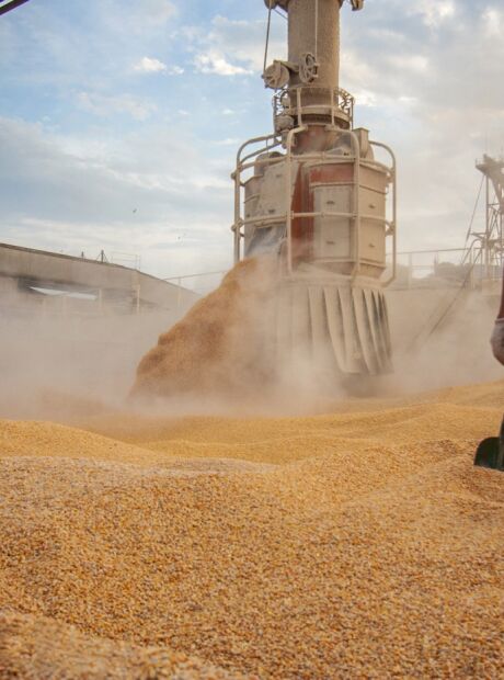 Vetada por Trump, exporta&ccedil;&atilde;o de MS para o Ir&atilde; disparou em 2025