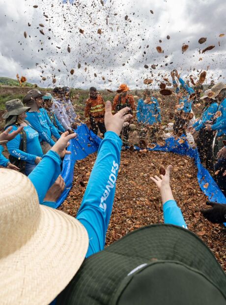 Mutir&atilde;o quer recuperar 378 hectares no Alto Taquari e refor&ccedil;ar a prote&ccedil;&atilde;o do Pantanal