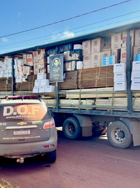 DOF apreende uma tonelada de agrot&oacute;xico em meio a carga de madeira
