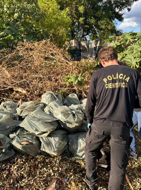 Casal &eacute; preso por crime ambiental com caixas de amianto
