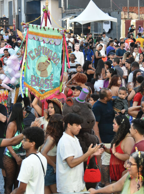 Com Freddie Mercury e est&aacute;tua de Wagner Moura, Capivara Blas&eacute; re&uacute;ne 15 mil foli&otilde;es