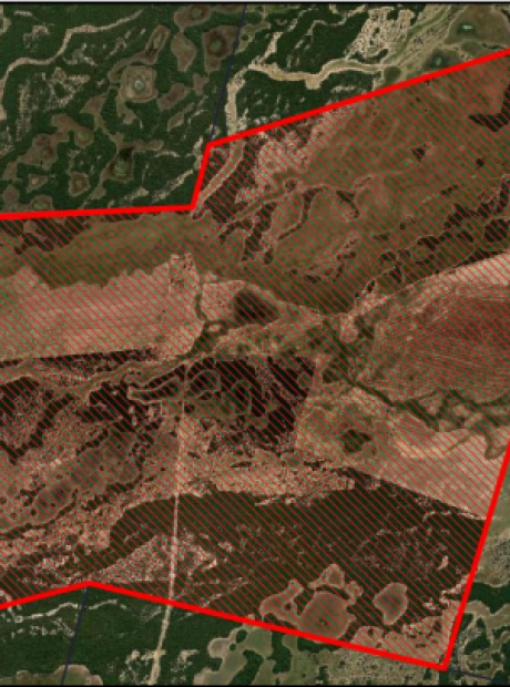 Pol&iacute;cia Federal investiga pecuarista que desmatou 1100 hectares do Pantanal