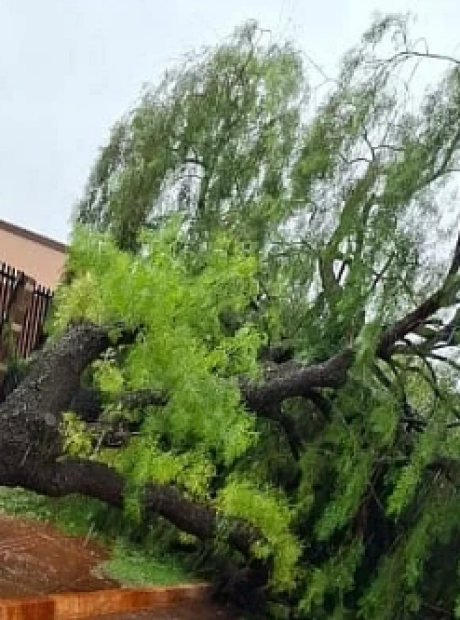S&atilde;o Gabriel do Oeste acumula 532 mil&iacute;metros de chuva em 5 dias