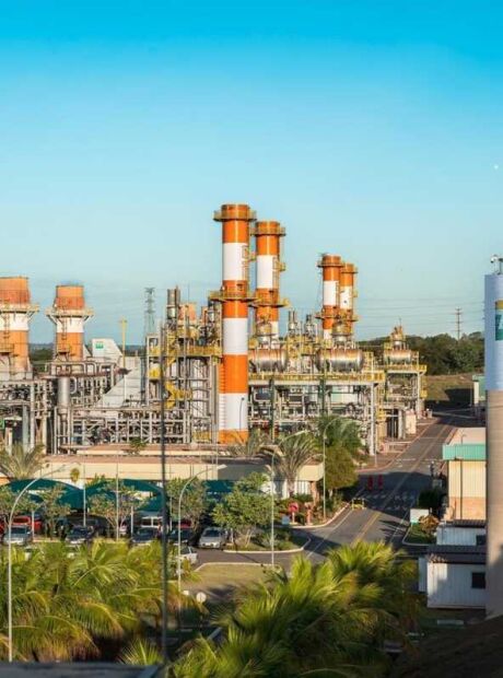 Parceira da Arauco e Petrobr&aacute;s firmam acordo para produzir &aacute;gua desmineralizada em Tr&ecirc;s Lagoas