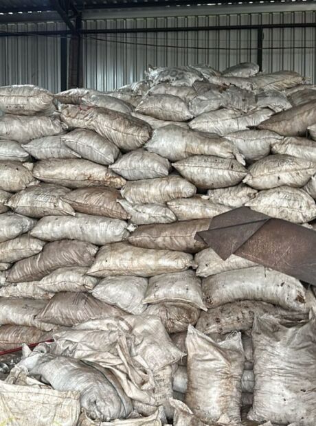 DECAT fecha carvoaria clandestina em Campo Grande